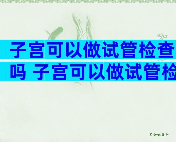 子宫可以做试管检查吗 子宫可以做试管检查吗